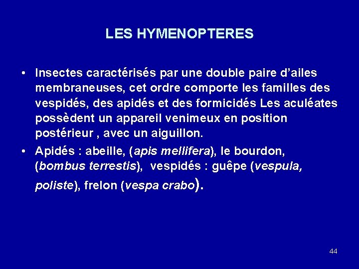LES HYMENOPTERES • Insectes caractérisés par une double paire d’ailes membraneuses, cet ordre comporte