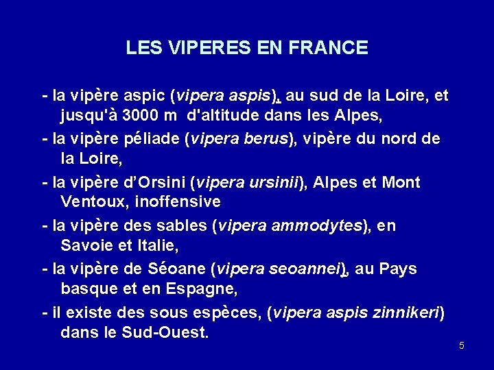 LES VIPERES EN FRANCE - la vipère aspic (vipera aspis), au sud de la