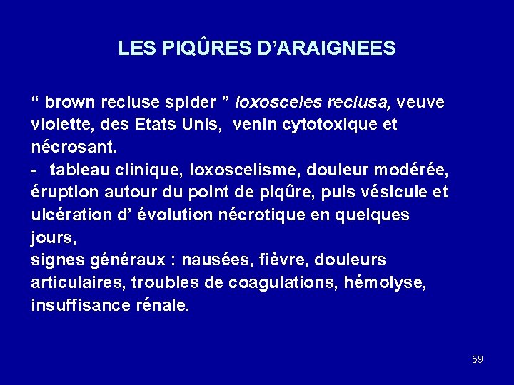 LES PIQÛRES D’ARAIGNEES “ brown recluse spider ” loxosceles reclusa, veuve violette, des Etats