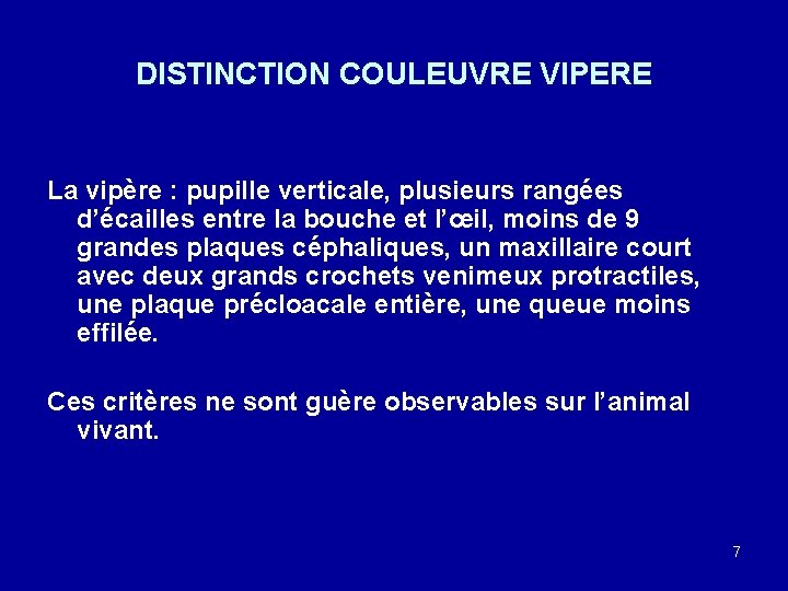 DISTINCTION COULEUVRE VIPERE La vipère : pupille verticale, plusieurs rangées d’écailles entre la bouche