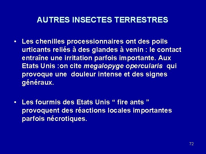 AUTRES INSECTES TERRESTRES • Les chenilles processionnaires ont des poils urticants reliés à des