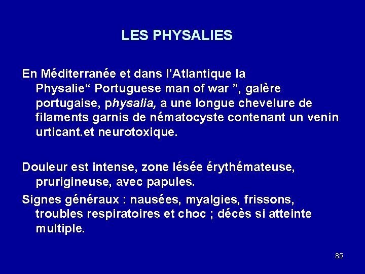 LES PHYSALIES En Méditerranée et dans l’Atlantique la Physalie“ Portuguese man of war ”,