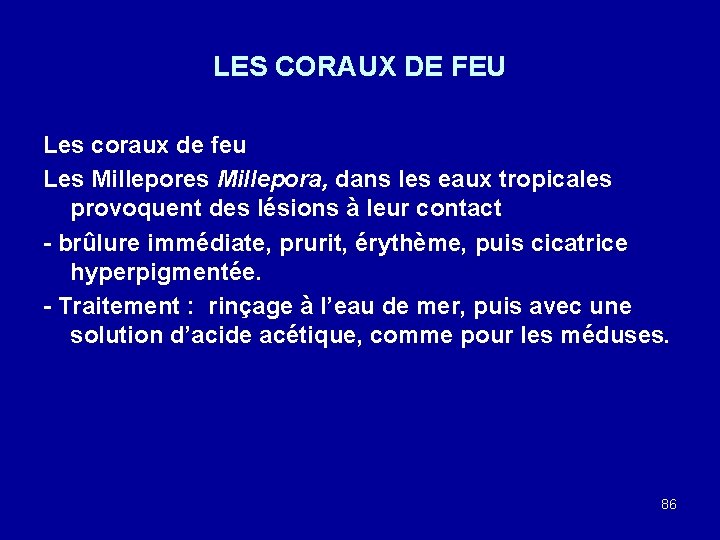 LES CORAUX DE FEU Les coraux de feu Les Millepora, dans les eaux tropicales