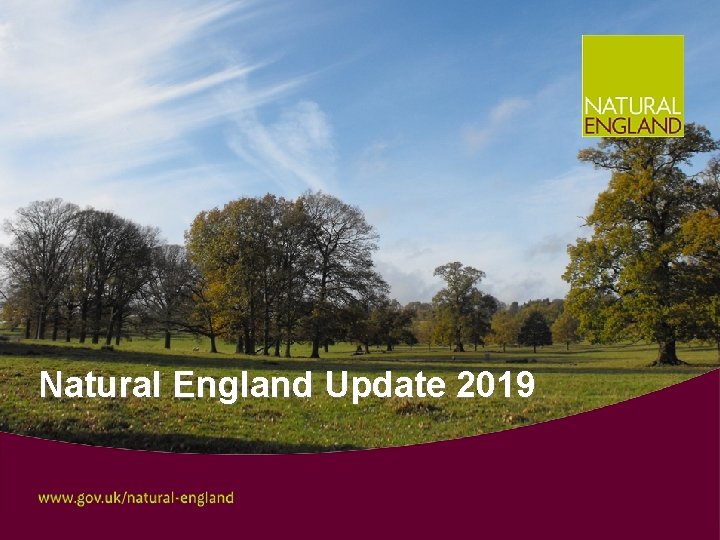 Natural England Update 2019 