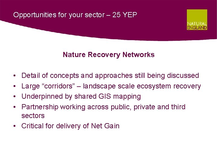 Opportunities for your sector – 25 YEP Nature Recovery Networks • • Detail of