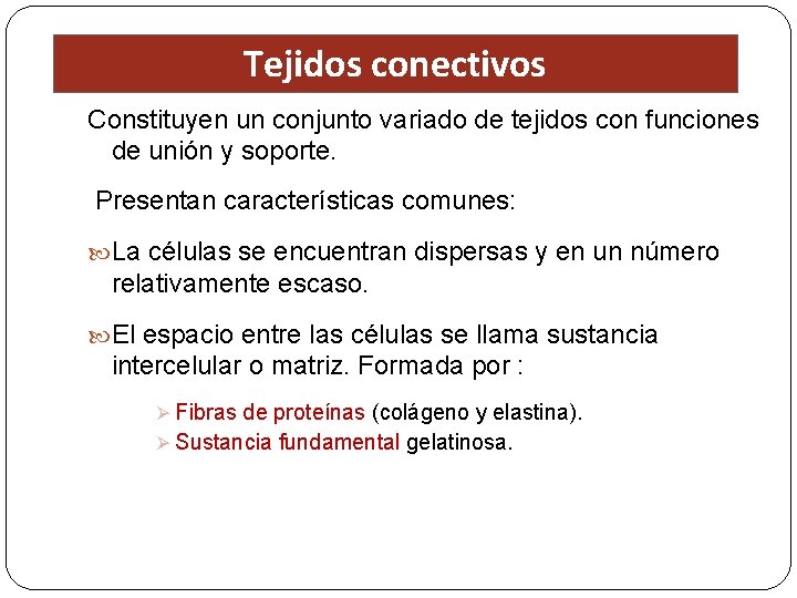Tejidos conectivos Constituyen un conjunto variado de tejidos con funciones de unión y soporte.