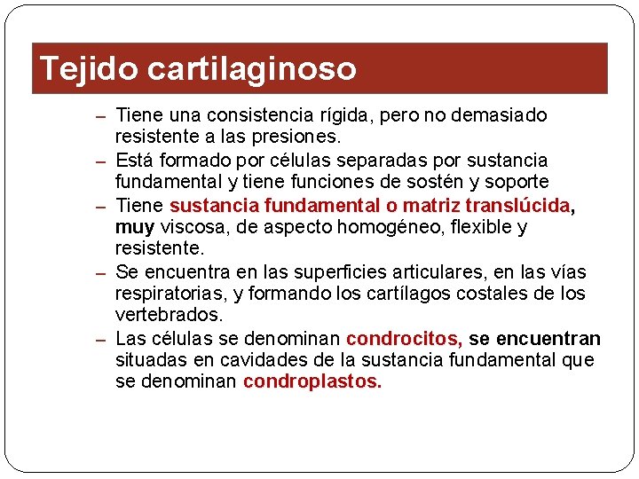 Tejido cartilaginoso – Tiene una consistencia rígida, pero no demasiado – – resistente a