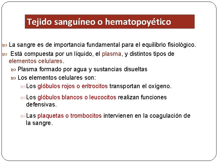 Tejido sanguíneo o hematopoyético La sangre es de importancia fundamental para el equilibrio fisiológico.