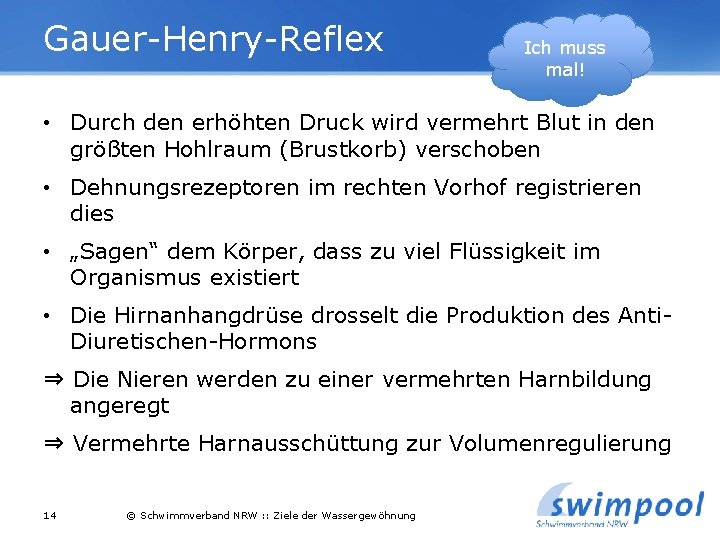 Gauer-Henry-Reflex Ich muss mal! • Durch den erhöhten Druck wird vermehrt Blut in den