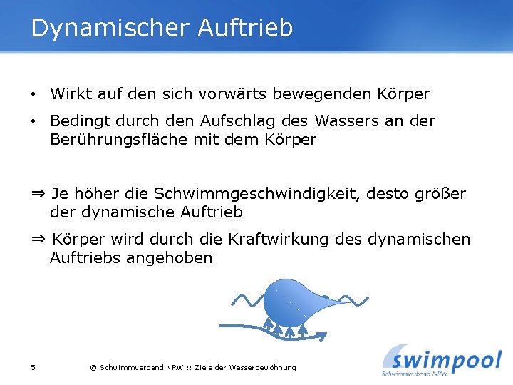 Dynamischer Auftrieb • Wirkt auf den sich vorwärts bewegenden Körper • Bedingt durch den