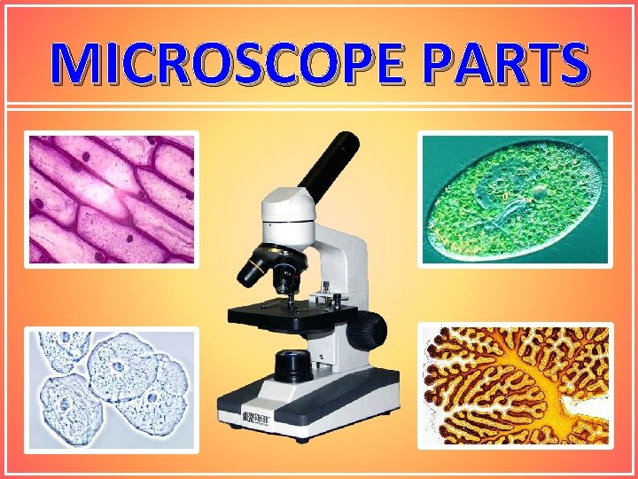 MICROSCOPE PARTS 