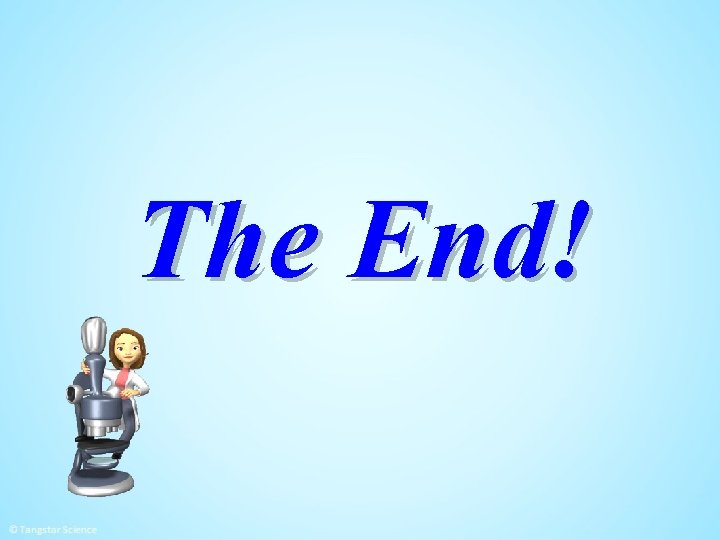 The End! 