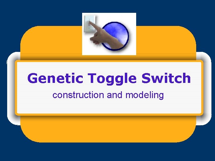 Genetic Toggle Switch construction and modeling 