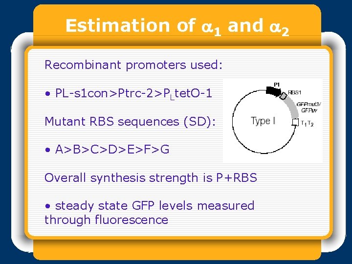 Estimation of a 1 and a 2 Recombinant promoters used: • PL-s 1 con>Ptrc-2>PLtet.