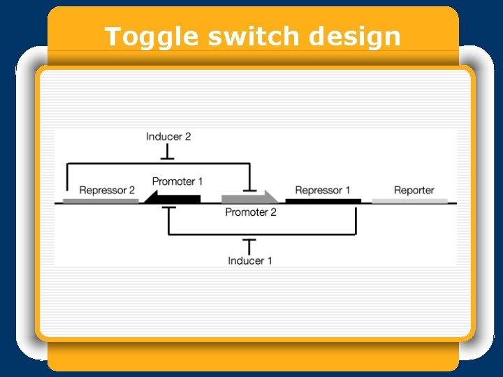 Toggle switch design 