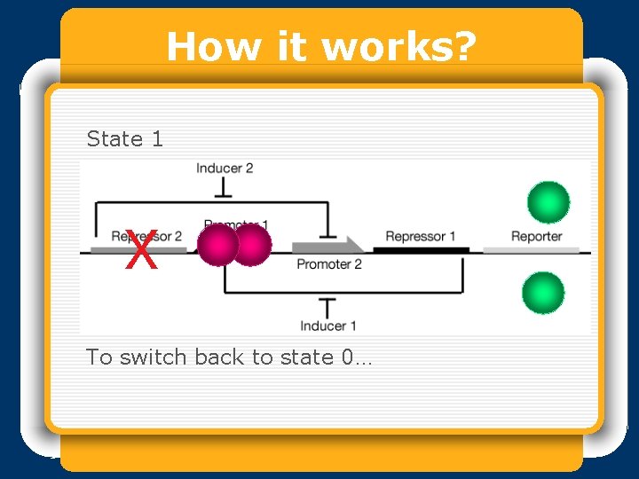 How it works? State 1 X To switch back to state 0… 