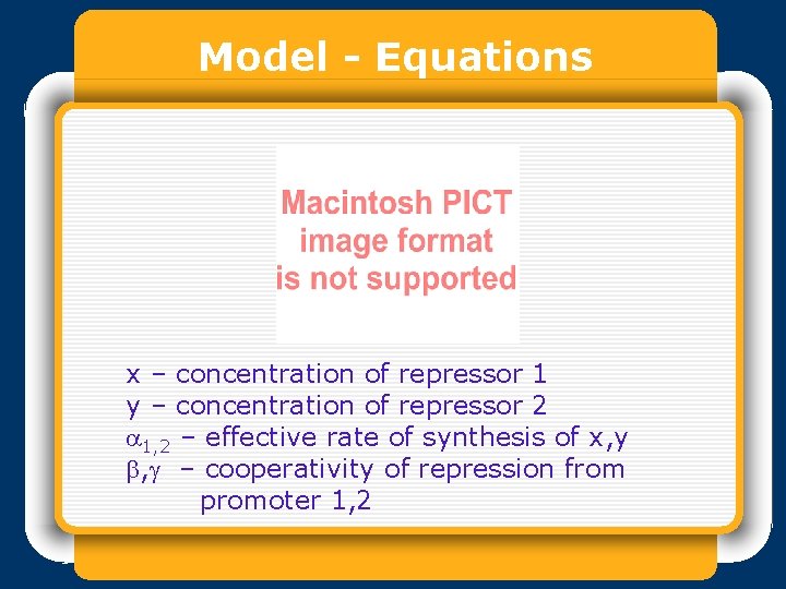 Model - Equations x – concentration of repressor 1 y – concentration of repressor