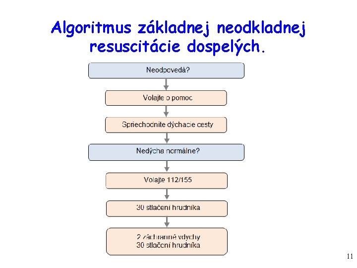 Algoritmus základnej neodkladnej resuscitácie dospelých. 11 Algoritmus základnej neodkladnej resuscitácie dospelých. 11