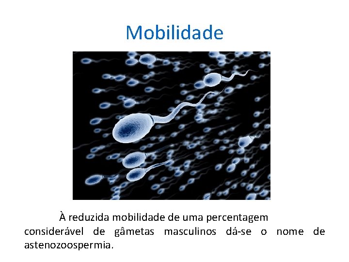 Mobilidade À reduzida mobilidade de uma percentagem considerável de gâmetas masculinos dá-se o nome