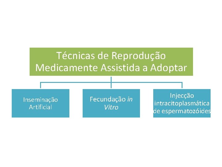 Técnicas de Reprodução Medicamente Assistida a Adoptar Inseminação Artificial Fecundação in Vitro Injecção intracitoplasmática