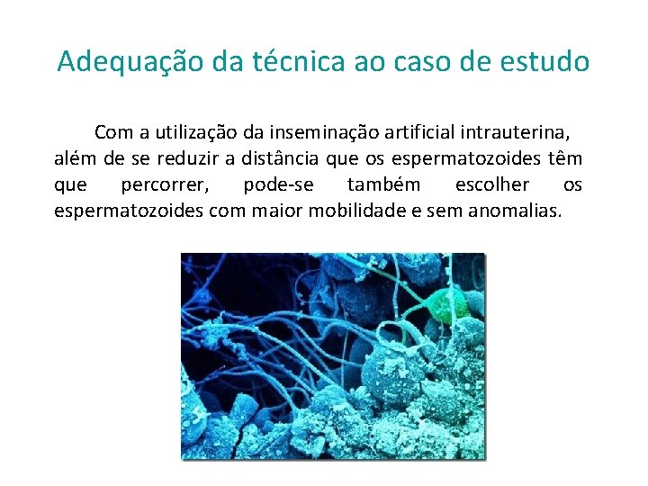 Adequação da técnica ao caso de estudo Com a utilização da inseminação artificial intrauterina,