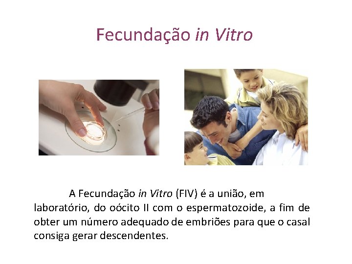 Fecundação in Vitro A Fecundação in Vitro (FIV) é a união, em laboratório, do