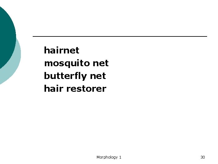  hairnet mosquito net butterfly net hair restorer Morphology 1 30 