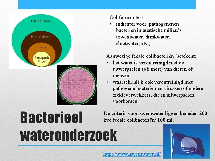 Coliformen test • indicator voor pathogenenen bacterien in auatische milieu’s (zwemwater, drinkwater, slootwater, etc.