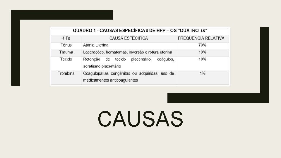 CAUSAS 