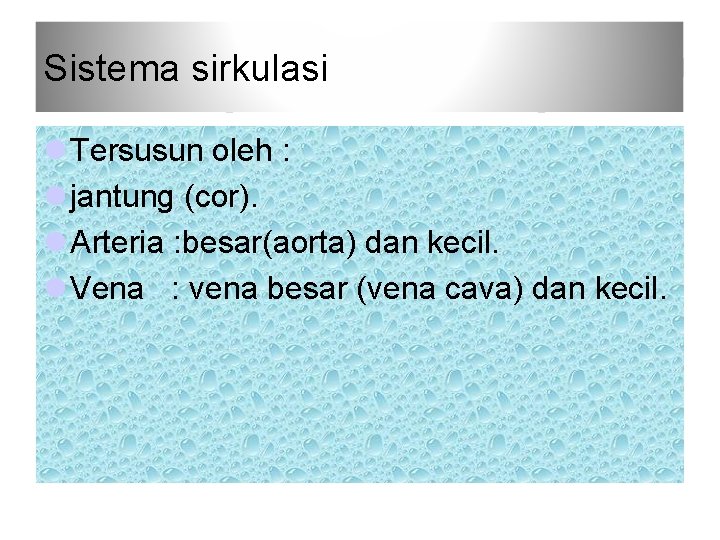 Sistema sirkulasi l Tersusun oleh : l jantung (cor). l Arteria : besar(aorta) dan