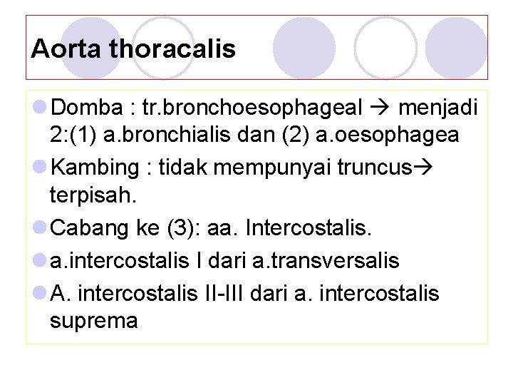 Aorta thoracalis l Domba : tr. bronchoesophageal menjadi 2: (1) a. bronchialis dan (2)