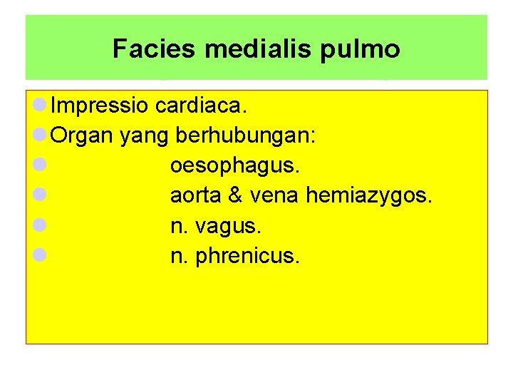 Facies medialis pulmo l Impressio cardiaca. l Organ yang berhubungan: l oesophagus. l aorta