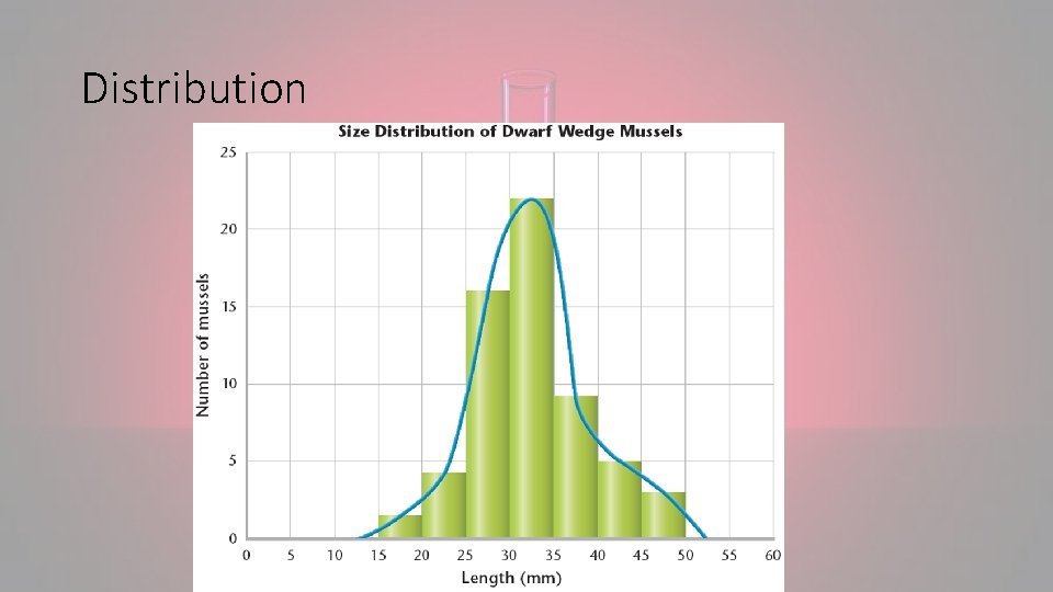 Distribution 