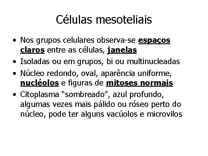 Células mesoteliais • Nos grupos celulares observa-se espaços claros entre as células, janelas •