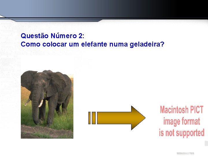 Questão Número 2: Como colocar um elefante numa geladeira? 