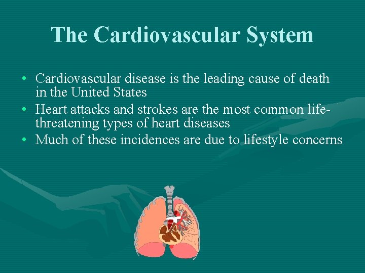 The Cardiovascular System • Cardiovascular disease is the leading cause of death in the