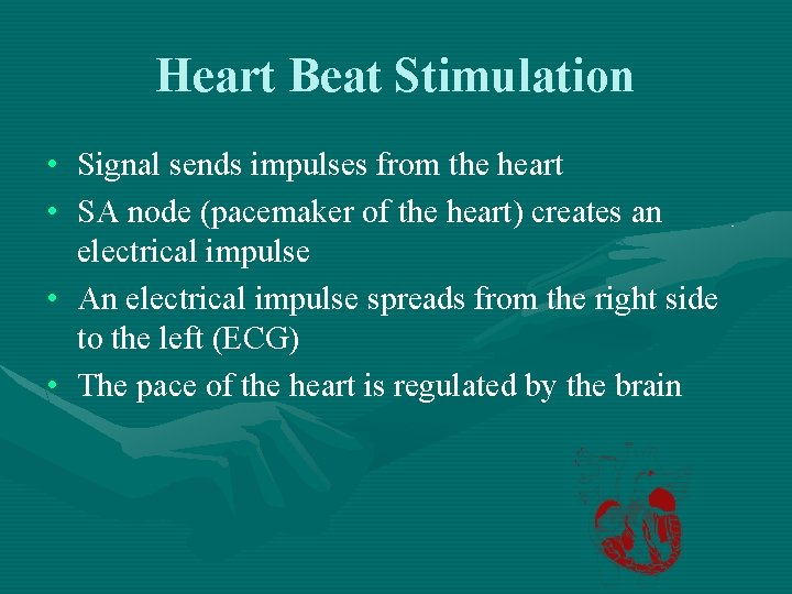 Heart Beat Stimulation • Signal sends impulses from the heart • SA node (pacemaker