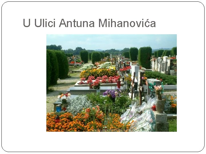U Ulici Antuna Mihanovića 