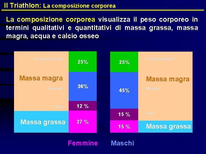 Il Triathlon: La composizione corporea visualizza il peso corporeo in termini qualitativi e quantitativi