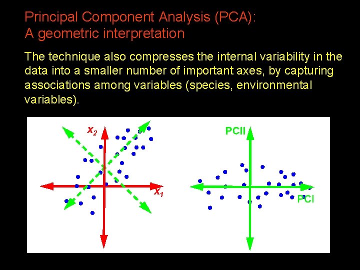 Principal Component Analysis (PCA): A geometric interpretation The technique also compresses the internal variability