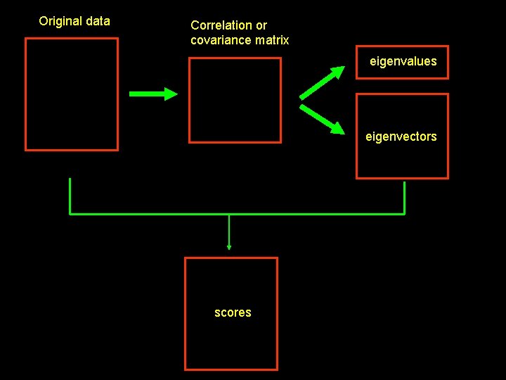 Original data Correlation or covariance matrix eigenvalues eigenvectors scores 39 