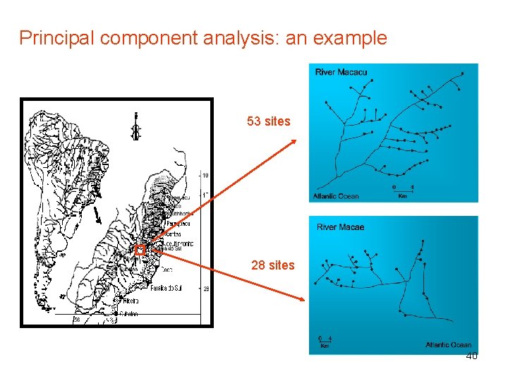 Principal component analysis: an example 53 sites 28 sites 40 