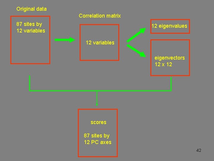 Original data Correlation matrix 87 sites by 12 variables 12 eigenvalues 12 variables eigenvectors