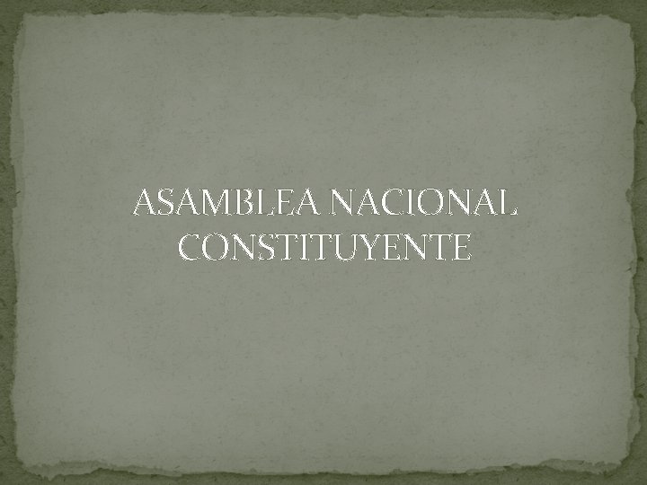 ASAMBLEA NACIONAL CONSTITUYENTE 