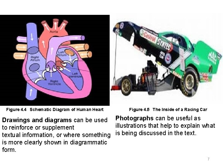 Figure 4. 4 Schematic Diagram of Human Heart Figure 4. 5 The Inside of