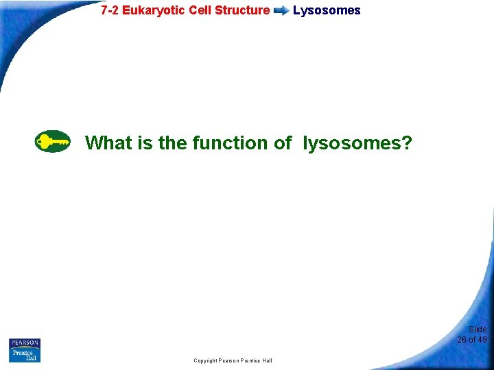 7 -2 Eukaryotic Cell Structure Lysosomes What is the function of lysosomes? Slide 26