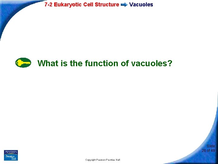 7 -2 Eukaryotic Cell Structure Vacuoles What is the function of vacuoles? Slide 28