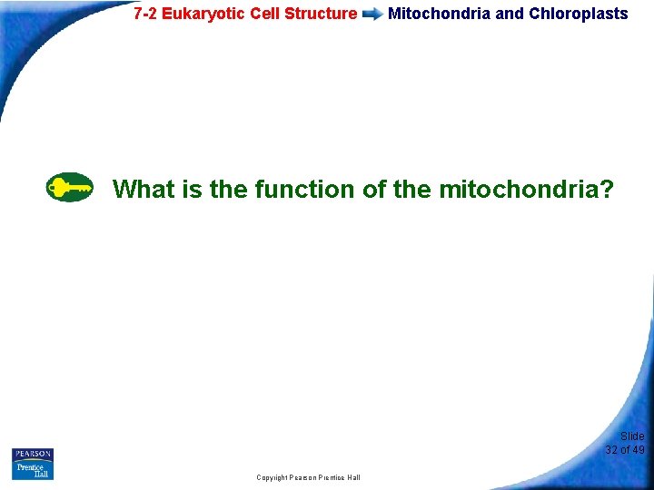 7 -2 Eukaryotic Cell Structure Mitochondria and Chloroplasts What is the function of the