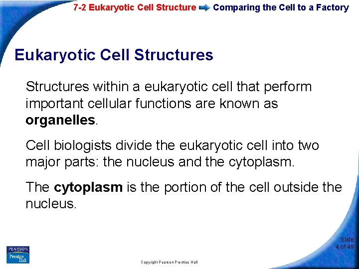 7 -2 Eukaryotic Cell Structure Comparing the Cell to a Factory Eukaryotic Cell Structures