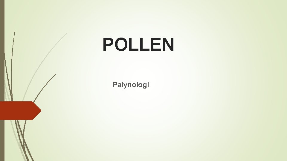 POLLEN Palynologi 